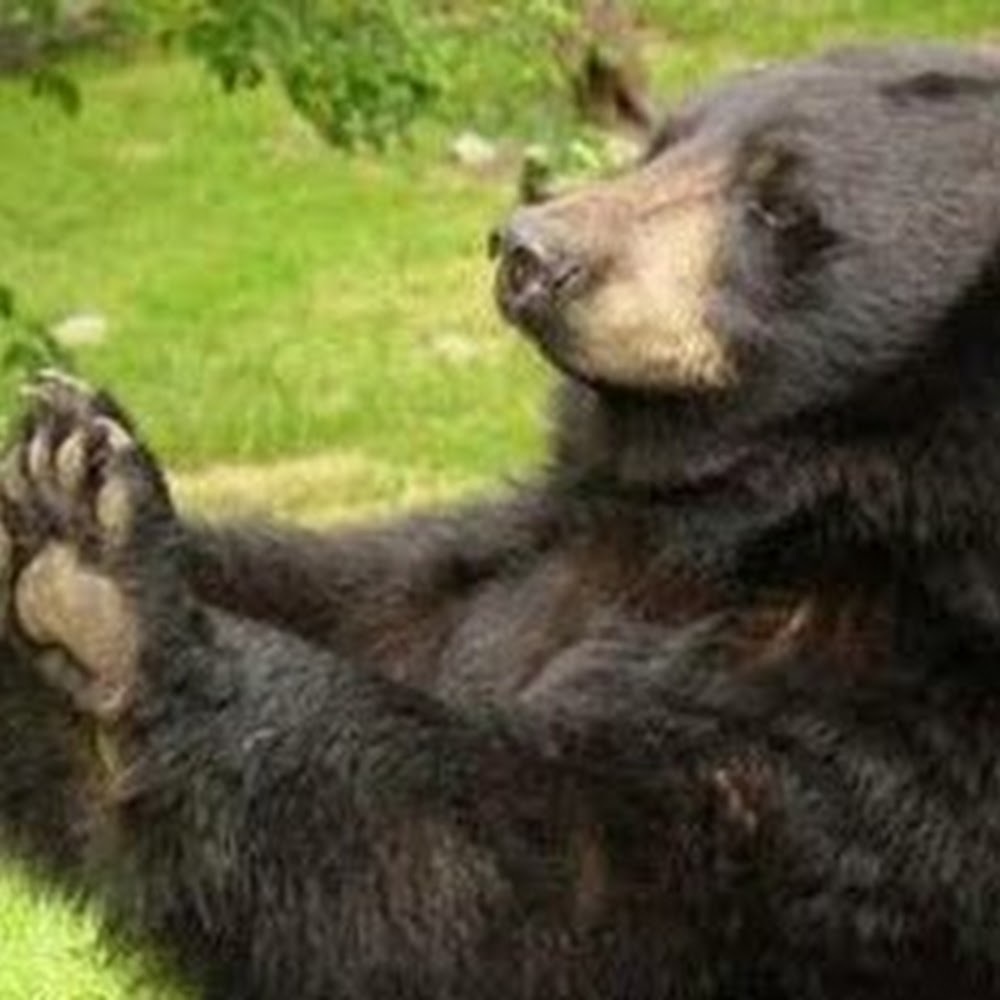 Meet your Posher, Corey